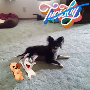 Meet your Posher, Elizabeth